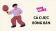 hướng dẫn cá cược bóng bàn