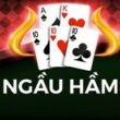 Ngầu Hầm - Những kiến thức cần có để chơi game Bullfight giỏi